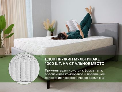 Матрас Димакс Элемент Мемо 80х195